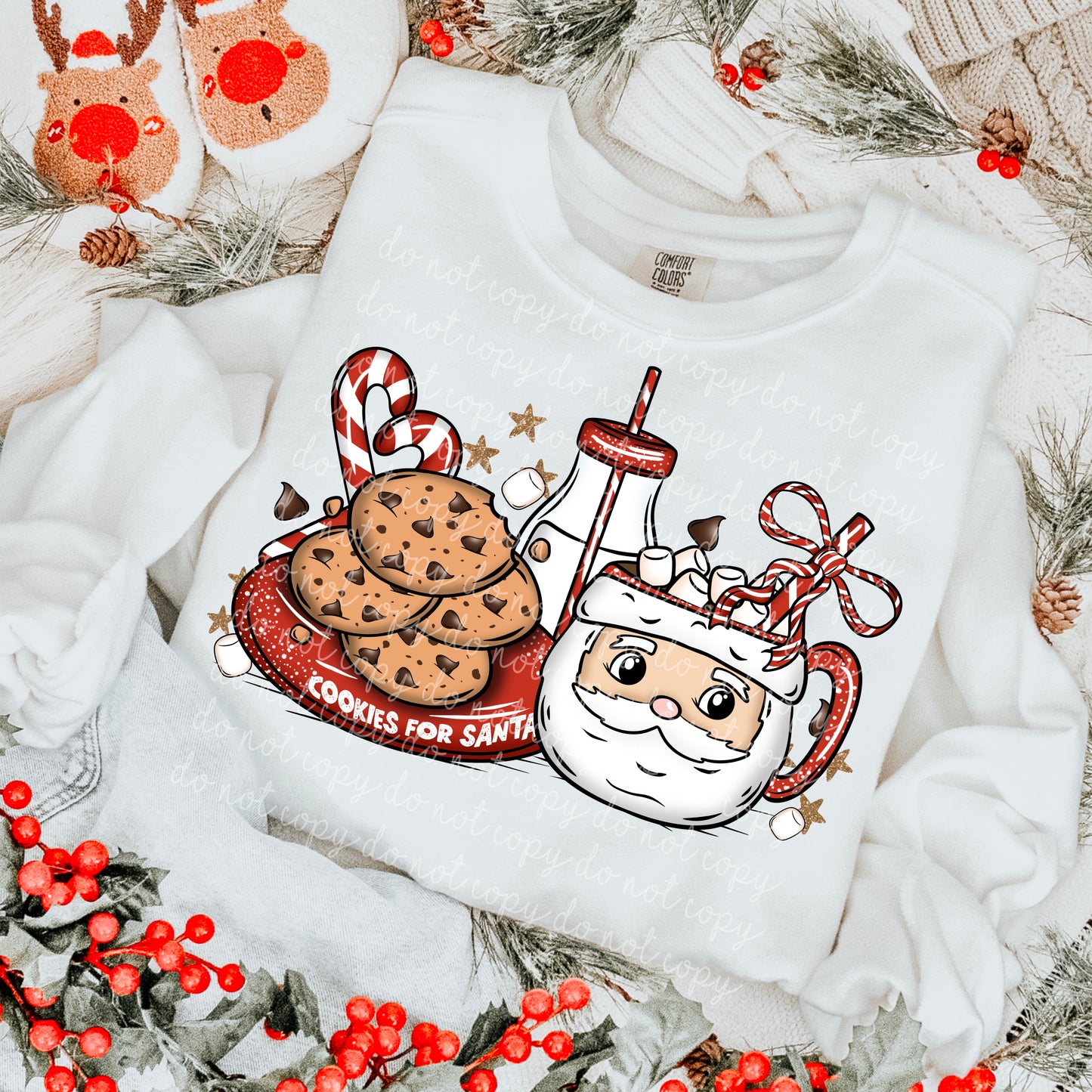 Cookies for Santa PNG